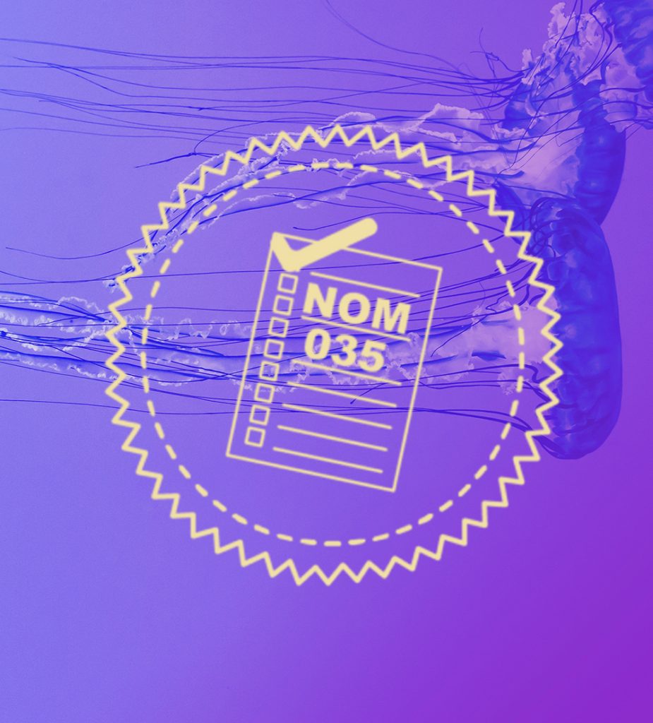 nom 305-1